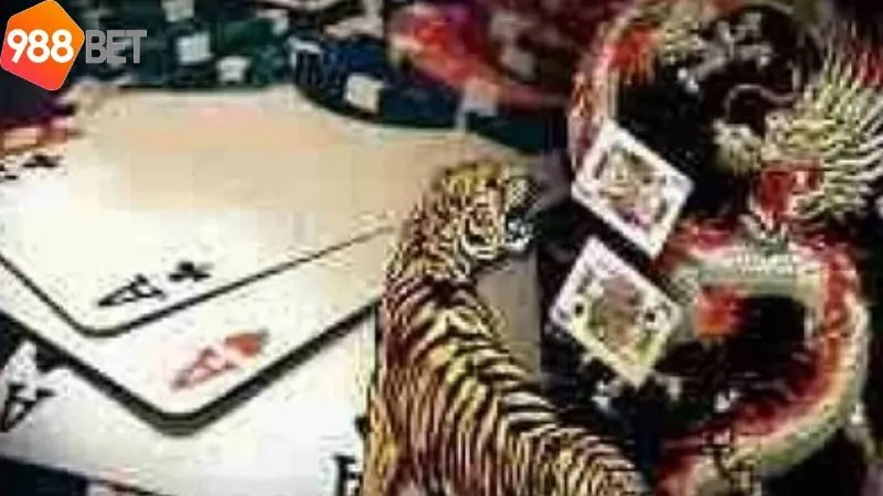 Rồng Hổ (Dragon Tiger) - Trò chơi kịch tính, nhận thưởng hấp dẫn 7 nhung-loi-ich-khi-tham-gia